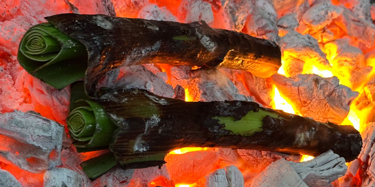 The Return Of Fire